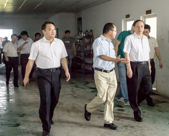 安徽省委副书记、省长王学军莅临安徽betway西汉姆联视察