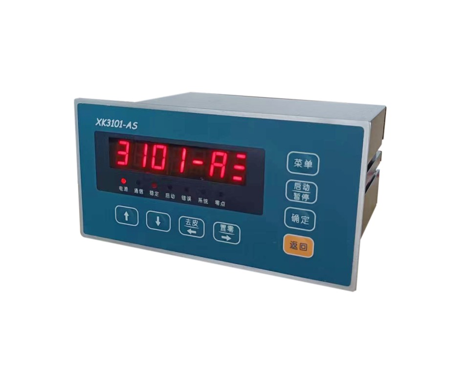 仪表 XK3101-AS
